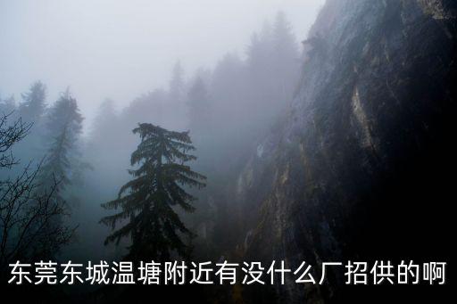 東莞東城溫塘宏豐廠，東城溫塘東路288號是甚么廠