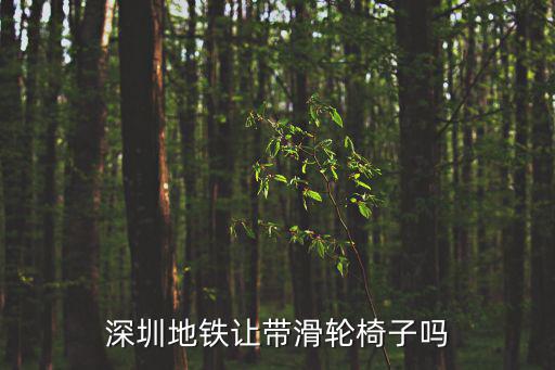 深圳地鐵讓帶滑輪椅子嗎