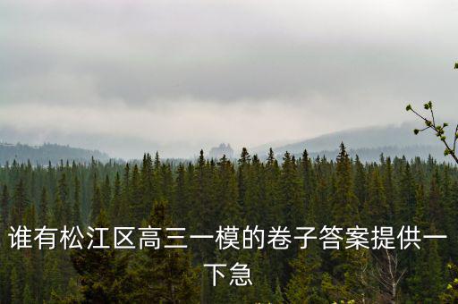 誰有松江區高三一模的卷子答案提供一下急