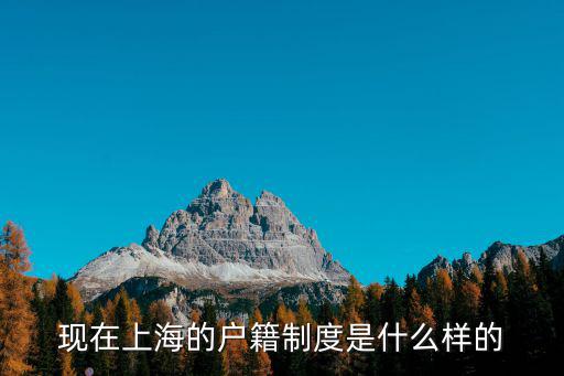 現在上海的戶籍制度是什么樣的