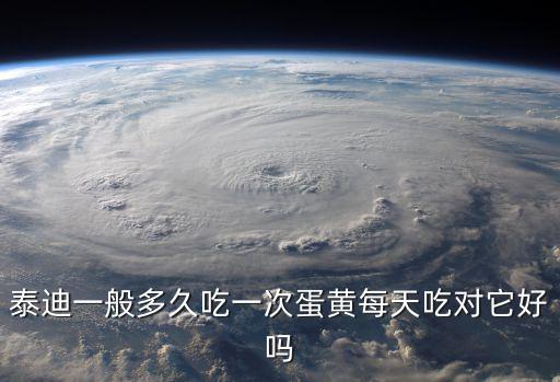 小泰迪蛋黃一次吃多少，泰迪一般多久吃一次蛋黃每天吃對(duì)它好嗎