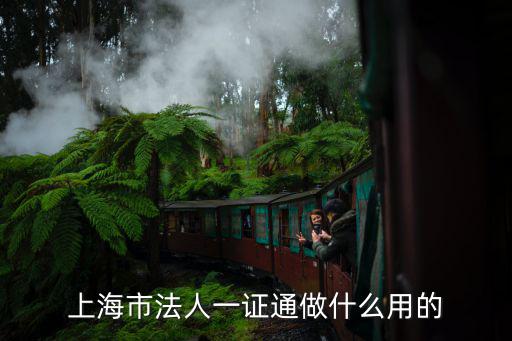 上海市法人一證通做什么用的