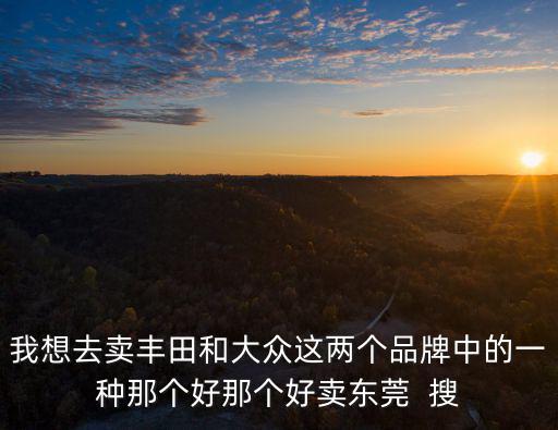 我想去賣豐田和大眾這兩個品牌中的一種那個好那個好賣東莞  搜