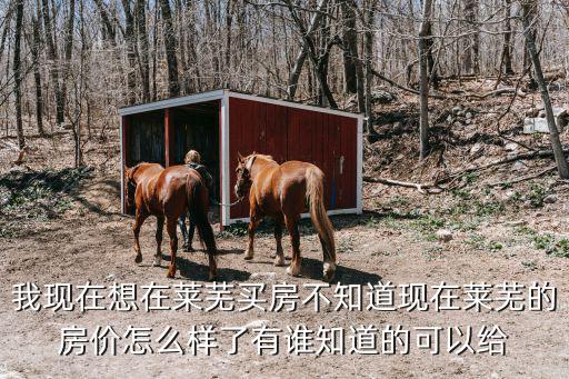 我現(xiàn)在想在萊蕪買房不知道現(xiàn)在萊蕪的房價怎么樣了有誰知道的可以給
