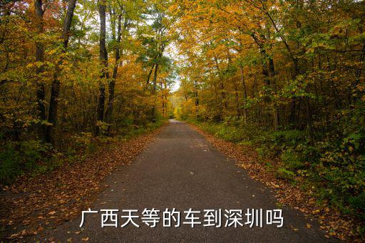 廣西有車到深圳嗎，廣西天等的車到深圳嗎