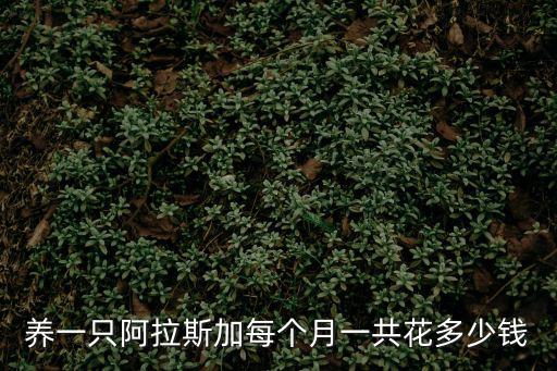 養(yǎng)一只阿拉斯加每個月一共花多少錢