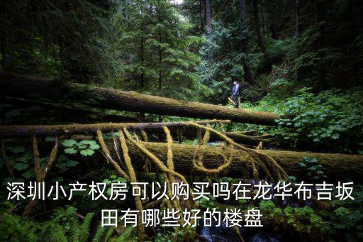 深圳小產權房可以購買嗎在龍華布吉坂田有哪些好的樓盤