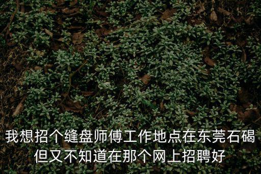 我想招個縫盤師傅工作地點在東莞石碣但又不知道在那個網上招聘好