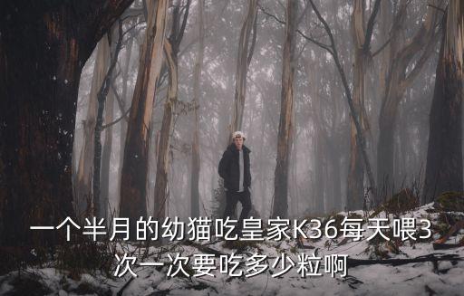 一個半月小貓吃多少貓糧，一個半月的幼貓吃皇家K36每天喂3次一次要吃多少粒啊