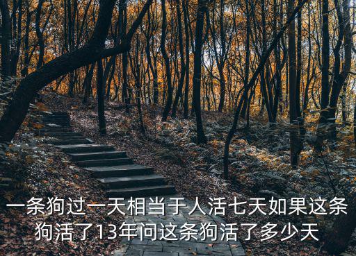 一條狗過(guò)一天相當(dāng)于人活七天如果這條狗活了13年問(wèn)這條狗活了多少天