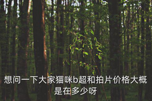 貓懷孕檢查多少錢，貓懷孕做b超多少錢一次