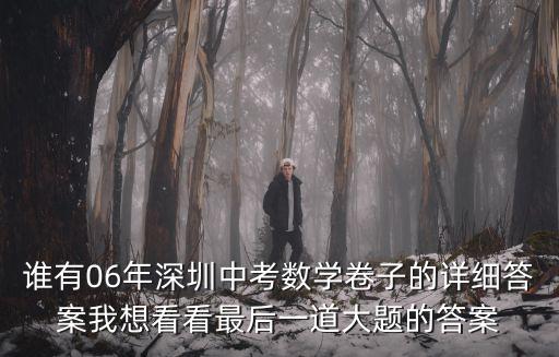 誰有06年深圳中考數學卷子的詳細答案我想看看最后一道大題的答案