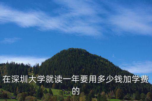 在深圳大學就讀一年要用多少錢加學費的
