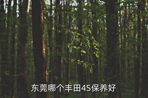 東莞哪個(gè)豐田4S保養(yǎng)好