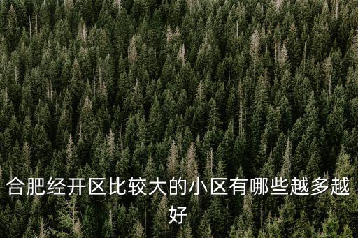 合肥經(jīng)開區(qū)比較大的小區(qū)有哪些越多越好