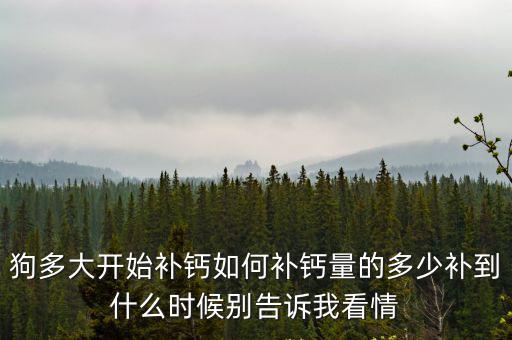 狗多大開始補鈣如何補鈣量的多少補到什么時候別告訴我看情