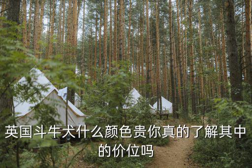 英國斗牛犬什么顏色貴你真的了解其中的價位嗎