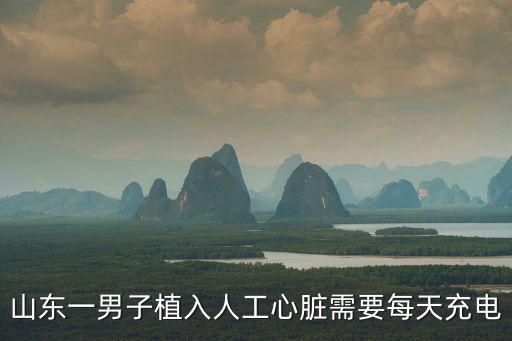 深圳市南山區(qū)數(shù)字政務局，新狐科技是外包公司嗎