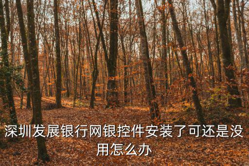 深圳發(fā)展銀行軟件，深圳發(fā)展銀行網(wǎng)銀控件安裝了可還是沒用怎么辦
