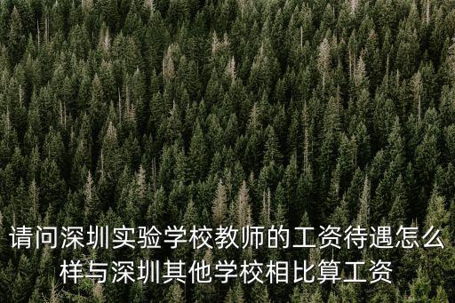 請問深圳實驗學校教師的工資待遇怎么樣與深圳其他學校相比算工資