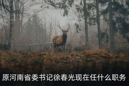 原河南省委書記徐春光現在任什么職務