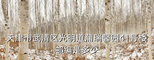 天津市武清區(qū)光明道蒲瑞馨園41號樓郵編是多少
