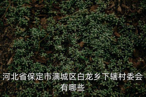 河北省保定市滿城區(qū)白龍鄉(xiāng)下轄村委會有哪些