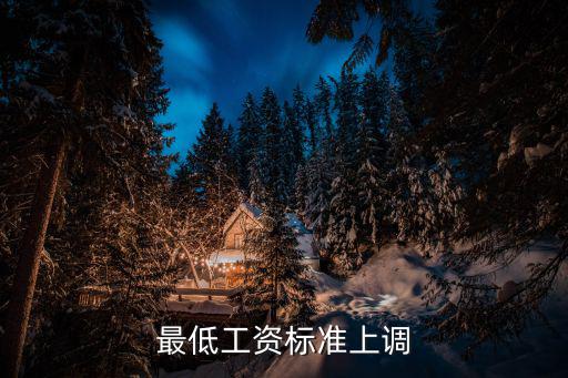 上海市林業局待遇，最低工資標準上調