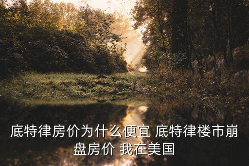 底特律房?jī)r(jià)為什么便宜 底特律樓市崩盤房?jī)r(jià) 我在美國(guó)