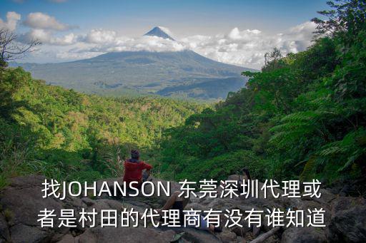 找JOHANSON 東莞深圳代理或者是村田的代理商有沒有誰知道