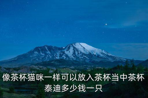 像茶杯貓咪一樣可以放入茶杯當中茶杯泰迪多少錢一只