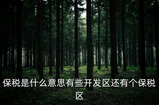 保稅是什么意思有些開發區還有個保稅區