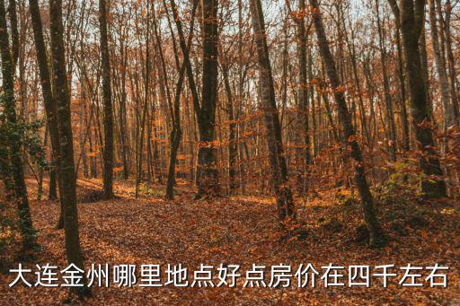 大連金州哪里地點好點房價在四千左右