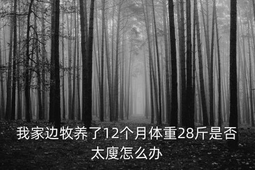 邊牧一個月體重多少，兩個月邊牧有多重