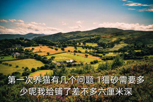 第一次養(yǎng)貓有幾個(gè)問題 1貓砂需要多少呢我給鋪了差不多六厘米深