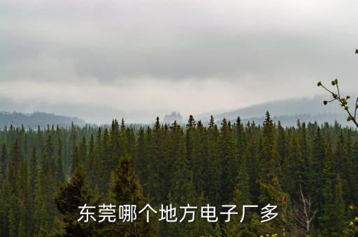 東莞電子廠那些地方多，東莞那個地方電子廠多