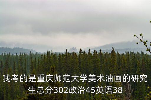我考的是重慶師范大學美術油畫的研究生總分302政治45英語38