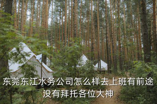 東莞東江水務公司領導，請問你有去東莞東江水務有限公司工作嗎現在工資福利怎么樣  搜