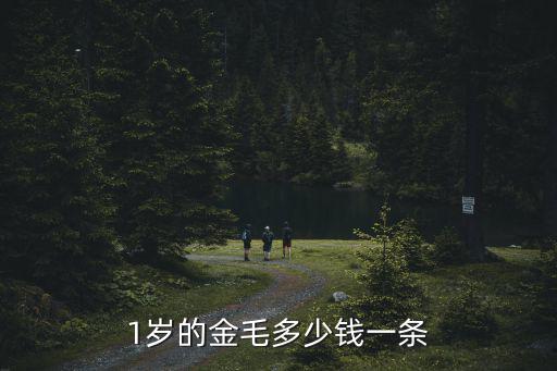 1歲的金毛多少錢一條