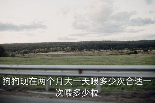 狗狗現(xiàn)在兩個月大一天喂多少次合適一次喂多少粒