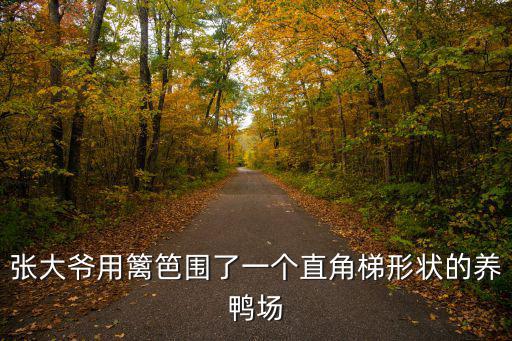 張大爺用籬笆圍了一個直角梯形狀的養鴨場