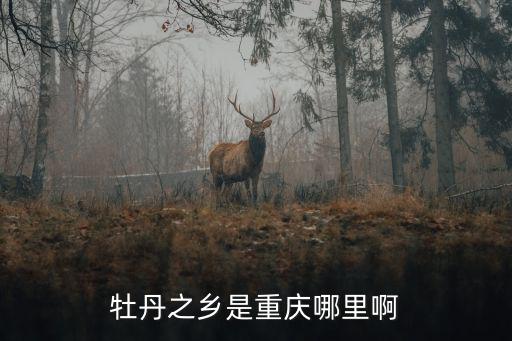 重慶市羅文鎮(zhèn)，重慶長(zhǎng)壽區(qū)哪個(gè)鎮(zhèn)最大經(jīng)濟(jì)條件好一點(diǎn)