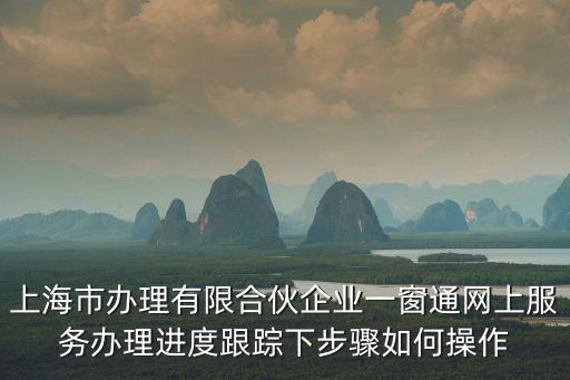 上海市辦理有限合伙企業一窗通網上服務辦理進度跟蹤下步驟如何操作