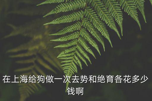 在上海給狗做一次去勢和絕育各花多少錢啊