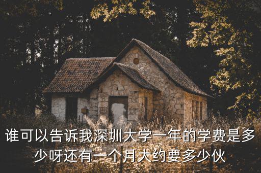 誰可以告訴我深圳大學一年的學費是多少呀還有一個月大約要多少伙