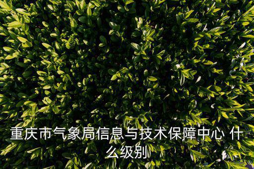 重慶市氣象局信息與技術保障中心 什么級別