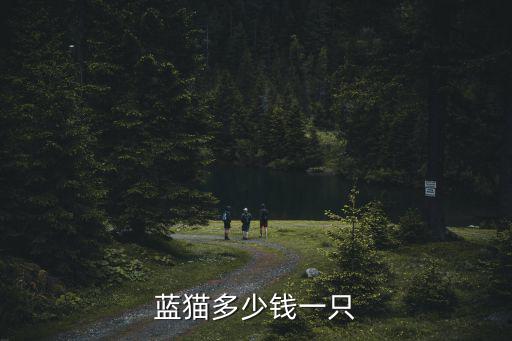 藍貓多少錢一只