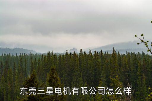 東莞三星電機怎么樣，東莞三星電機充電器質量好嗎