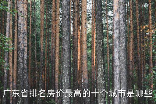 廣東省排名房價最高的十個城市是哪些