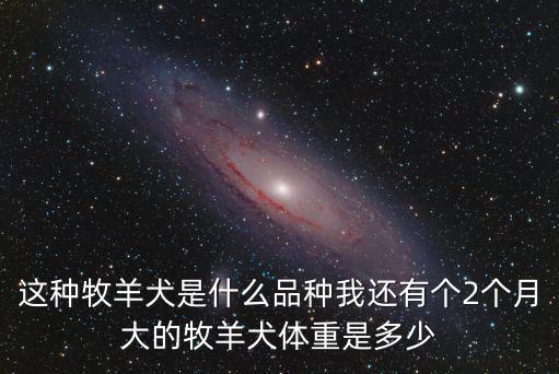 這種牧羊犬是什么品種我還有個2個月大的牧羊犬體重是多少